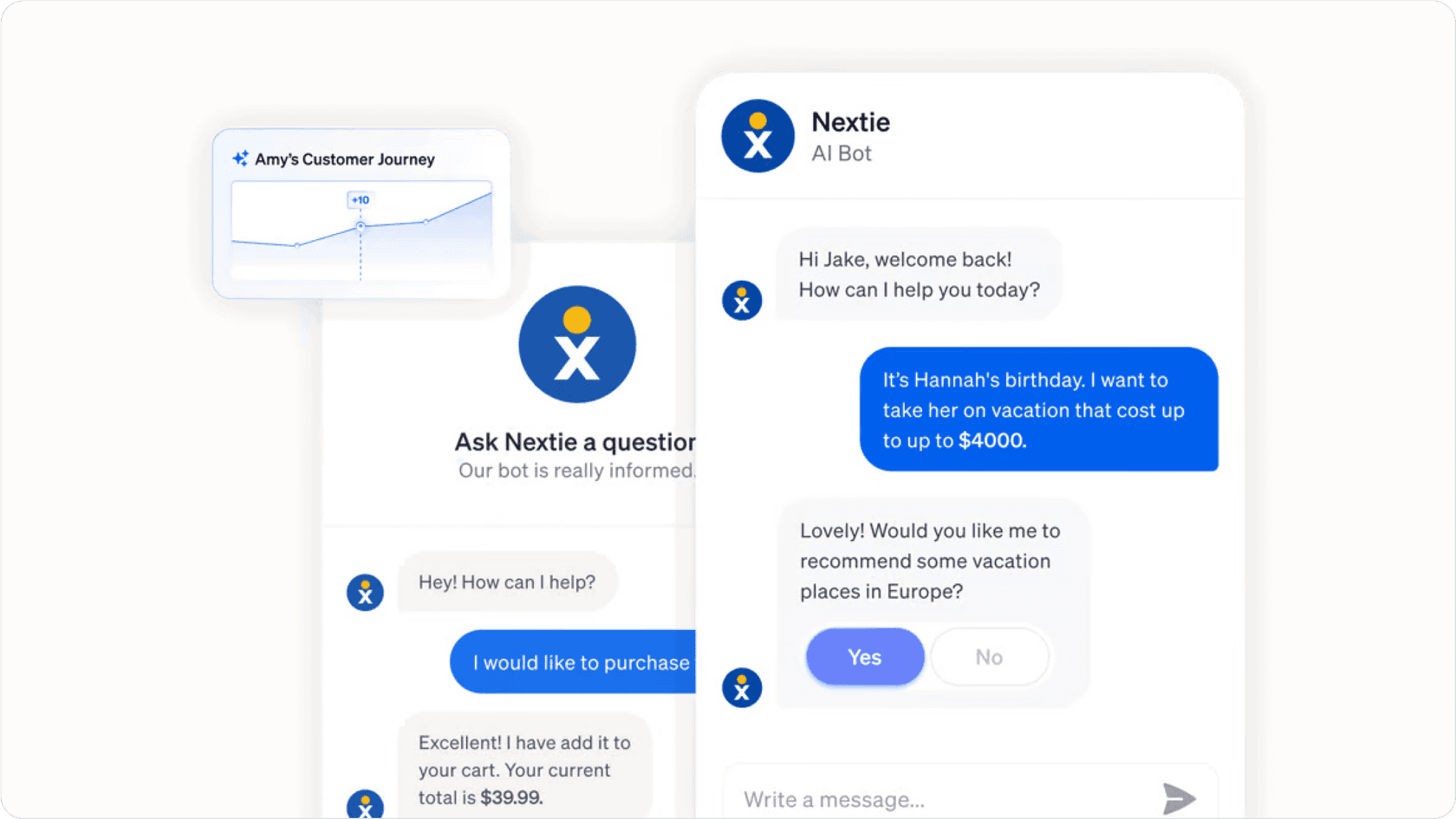 An e-commerce AI assistant.