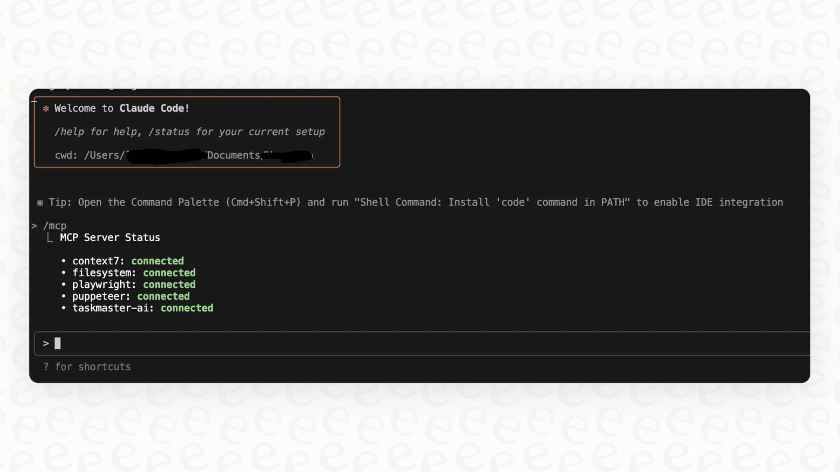 A terminal showing a developer using a command-line tool for deeper usage analytics for Claude Code.
