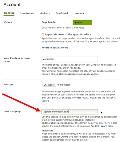 Zendesk's Account Branding panel showing the host mapping configuration for custom domain settings.